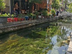 -百花洲