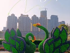 -西北湖绿化广场