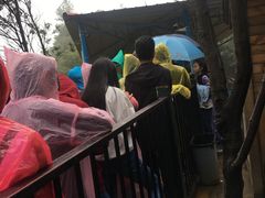 -梦幻奥陶纪景区