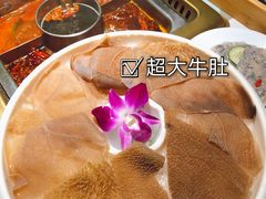 -雾都渣渣火锅(南城智汇城店)