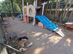 -采粤轩中餐厅(惠州金海湾喜来登度假酒店)