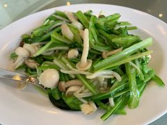 双菇青龙菜-无招牌海鲜餐厅(滨海艺术中心店)