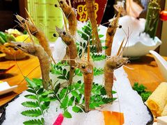 -尚海豆捞(乐虹坊店)