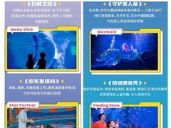 -海合安武汉极地海洋公园