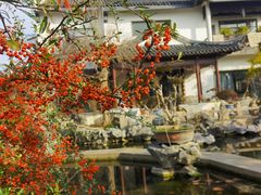 -苏州冶园园林民宿(太湖西山风景区店)