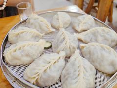 -小叶大馅饺子城
