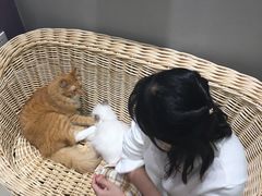 -藏猫猫咖啡主题馆(中央大道店)