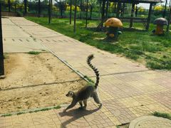 -石家庄市动物园