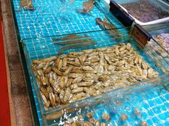 -梦都海鲜酒家(万达广场江桥店)