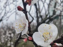 -三岔湖景区