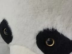 -中粮·祥云小镇