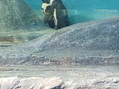 -北京海洋馆
