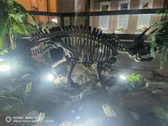 -抱璞文化展示中心