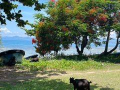 -三亚西岛海洋文化旅游区