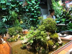 -森味薪火烧•烧鸟居酒屋•日本料理(望京店)