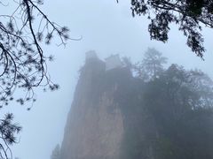 -塔云山