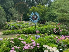 -共青国家森林公园-售票处