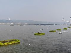 -海埂大坝