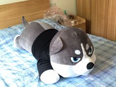 -济南富力凯悦酒店