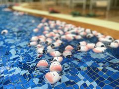 -环球中心海洋乐园