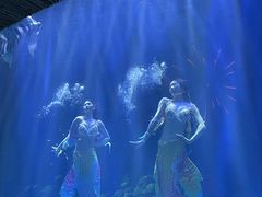 -华夏文旅海洋公园