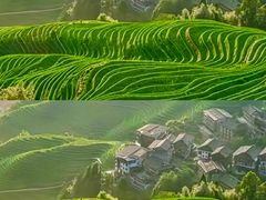 -龙脊梯田