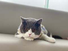 -立德动物医院·24小时中心(番禺区院区)