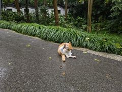 -赭山公园