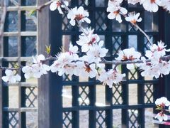 -三里河公园