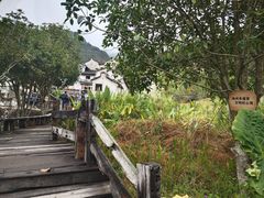 -雁南飞茶田景区