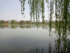 -上海滨江森林公园