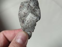 -杨氏橘红(前门大街店)