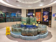 水产区-广州酒家(昌岗地铁站店)