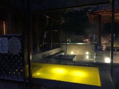 -春晖园度假酒店温泉