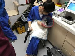 -北京派仕佳德动物医院·超导核磁·CT·神经科·骨科·内外科·急重症管理中心