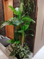 -芳朵美容养生SPA