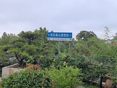 -蘇河湾·新鲁菜·泰山宴(泰山店)