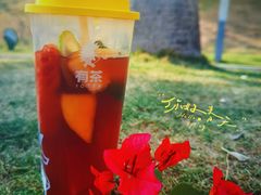 -白石龙音乐公园