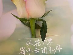 -芸山季·云南野生菌火锅(人民广场来福士店)