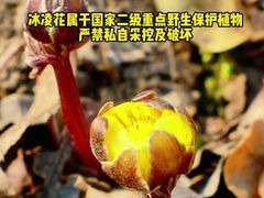 -沈阳植物园