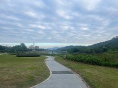 -风云岭森林公园