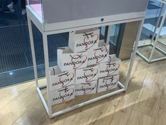 -Pandora潘多拉珠宝(虹口龙之梦店)