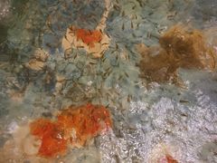 -东方之珠洗浴休闲广场(大港店)