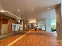 -香港大学