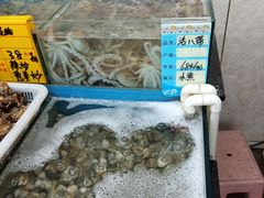 -渔民船说·北塘海鲜·天津菜·海肠捞饭(北塘古镇店)
