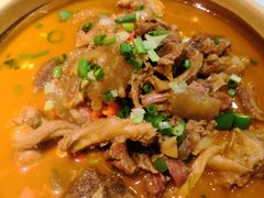 -洞庭家宴·头牌甲鱼(广渠门店)