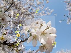 -上海辰山植物园