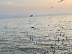 -深圳湾公园(南山区)