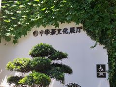 -中国茶叶博物馆(双峰馆区)
