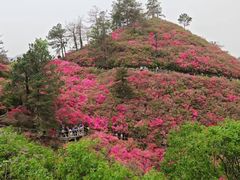 -木兰云雾山